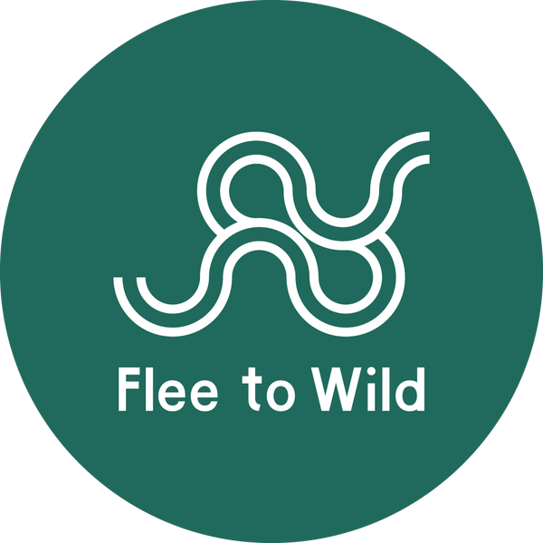 Flee to Wild